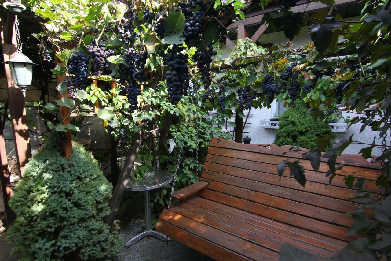 Apartamenty Pod Wiciokrzewem Supraśl 외부 사진